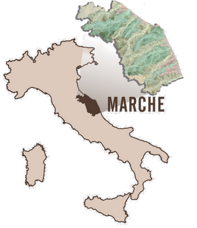 Marche_IT  map