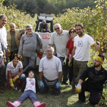 Tenuta dell’Ugolino